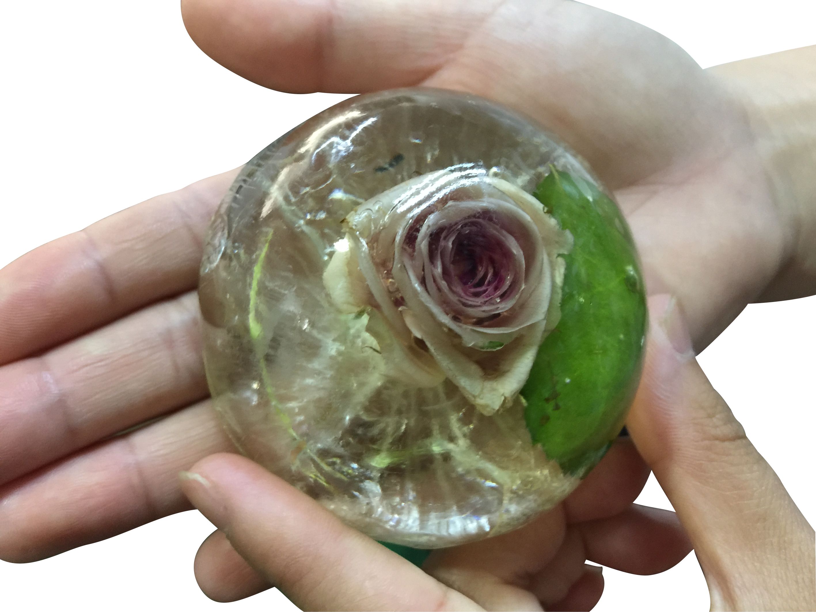 Xà bông trong suốt / Hoa hồng