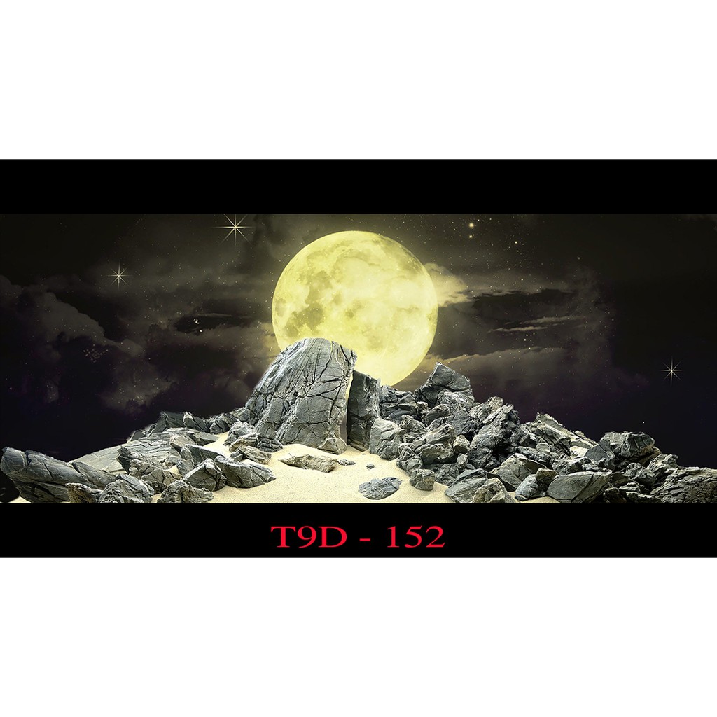 Tranh 3d bể cá mã t9d-152 kt