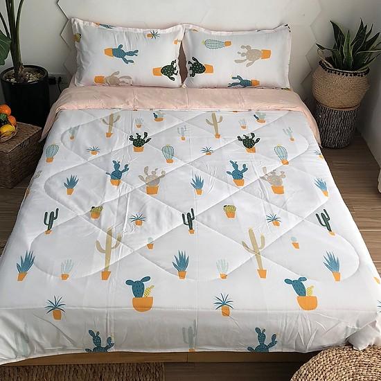 Set 5 món cotton poly nhập Mẫu Xương Rồng