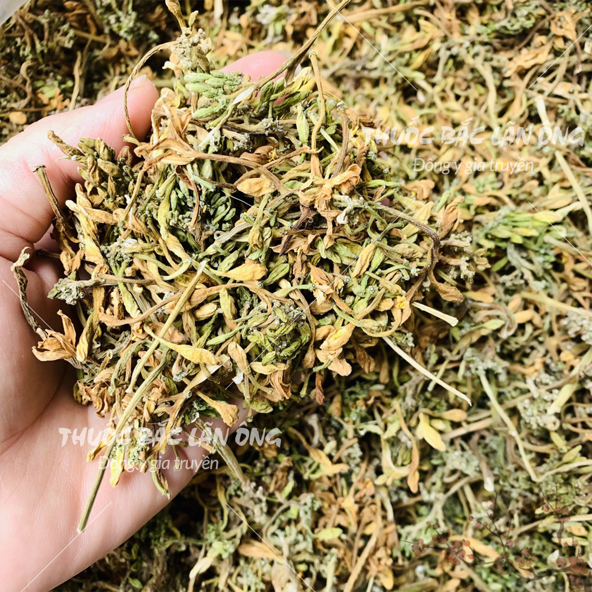 Hoa đu đủ đực sấy khô 100g ( Thảo dược thiên nhiên tốt cho sức khỏe)
