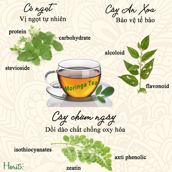 Trà Chùm Ngây Moris Túi Lọc Moris