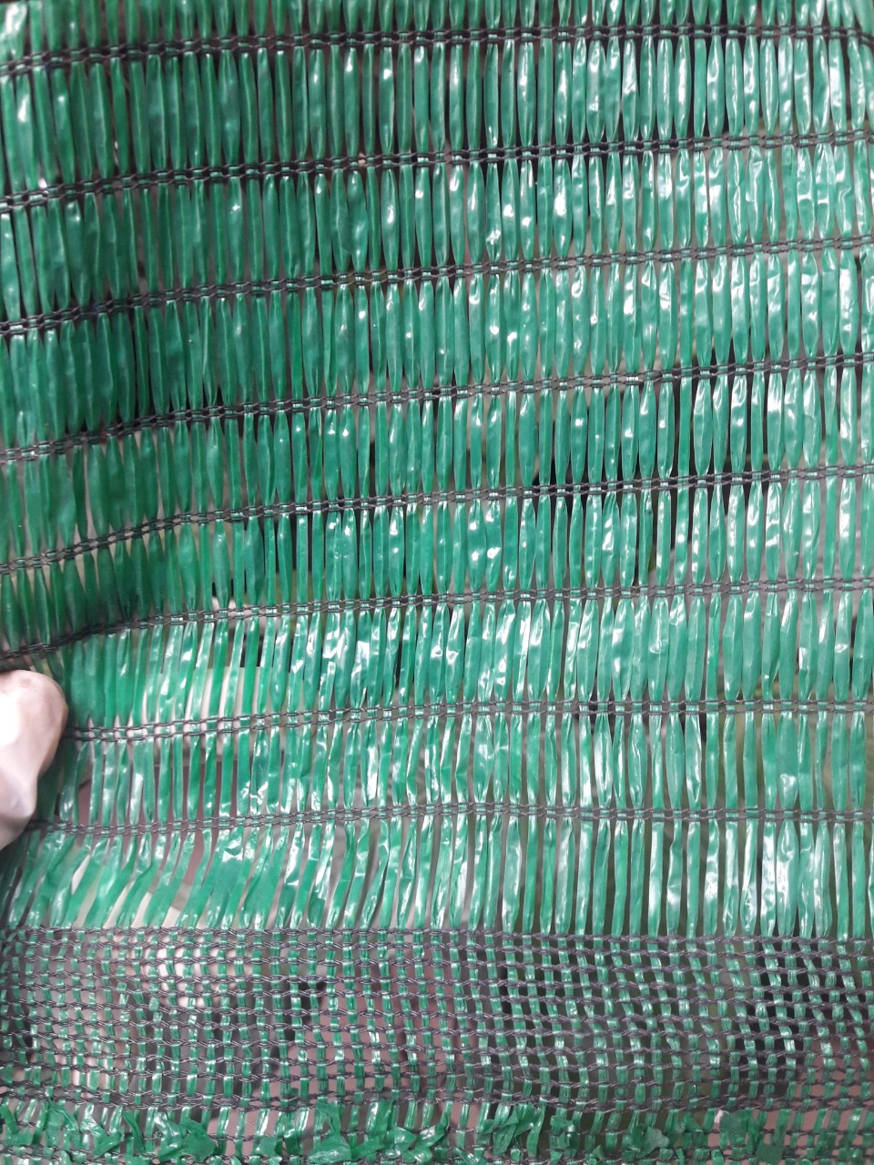5m lưới thái 70% khổ 2m Che nắng