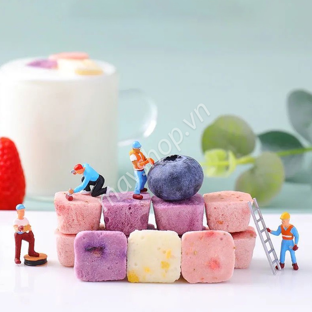 Sữa chua sấy khô nhiều vị trái cây (100g)