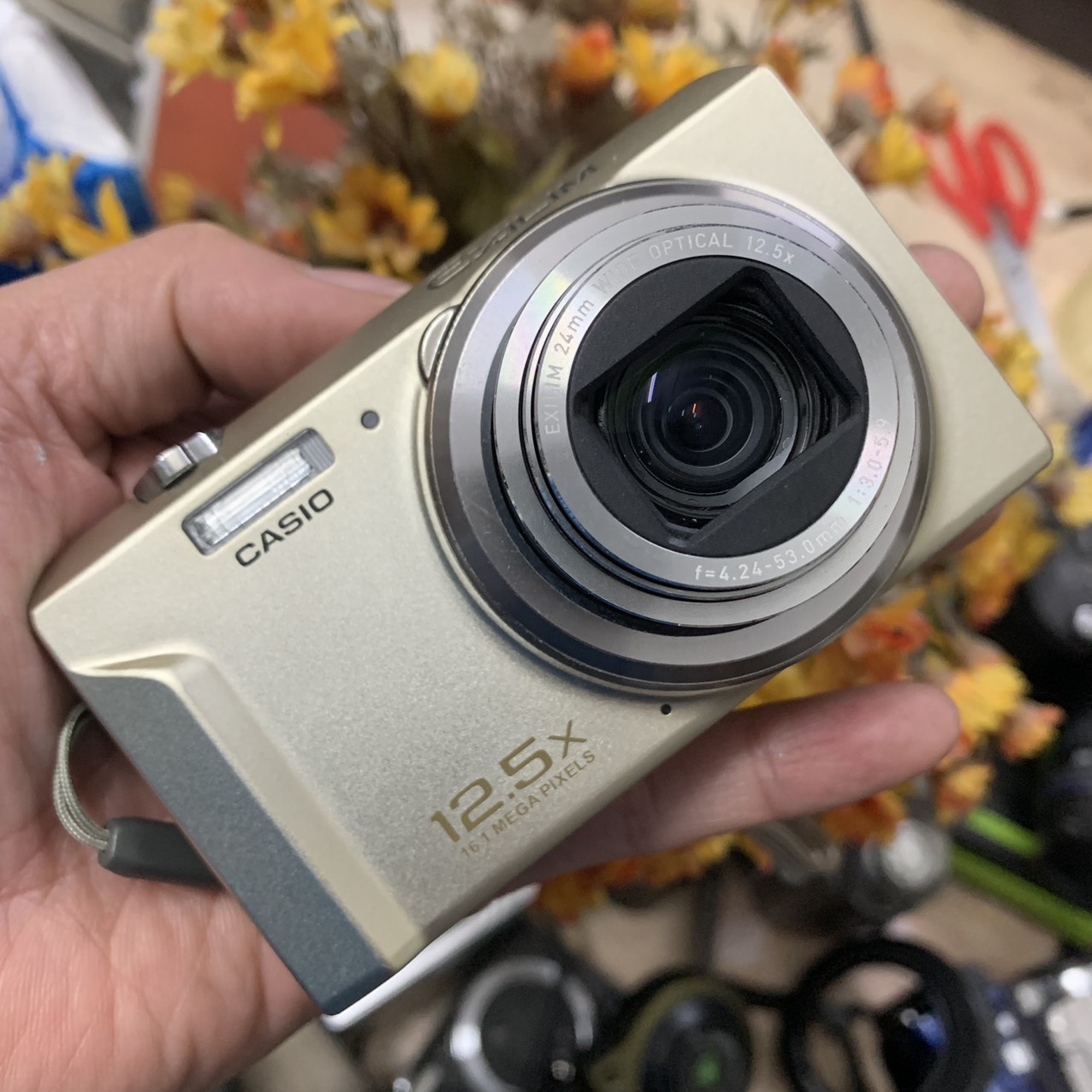 CASIO EXILIM EX-ZS170