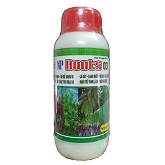 NP ROOTS 03 – RA RỄ NHANH, ĐI TƯỢC MẠNH, LÁ XANH, NỞ BỤI, ĐẺ NHÁNH TỐT