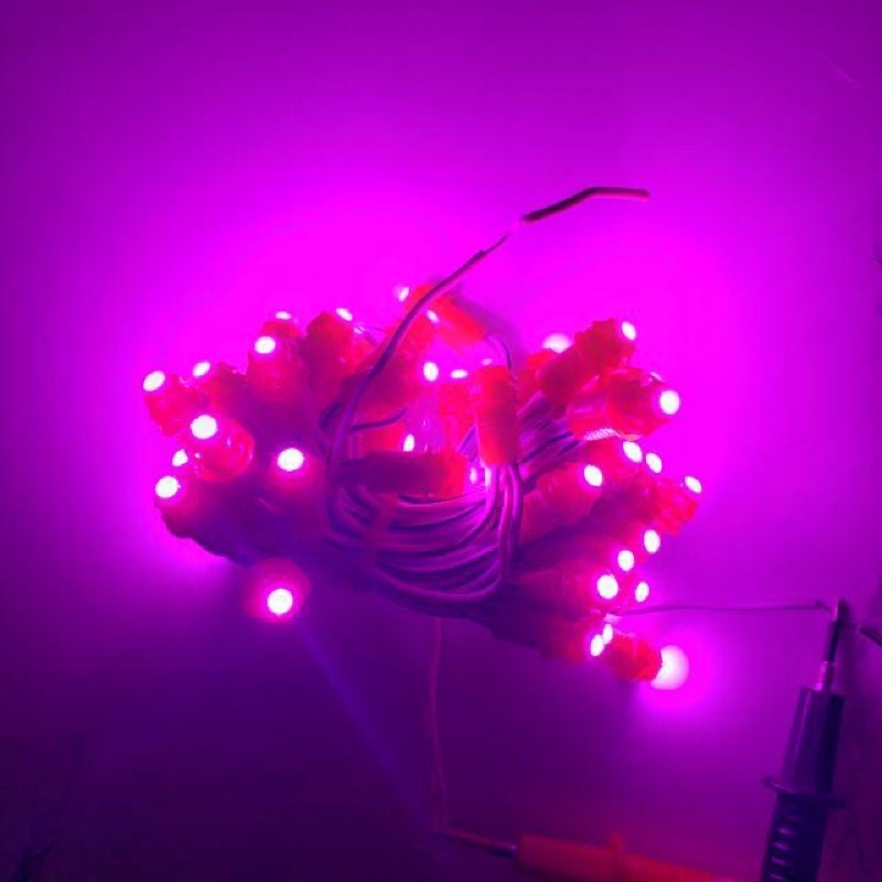 Led Đúc F5 Đế 9mm , Led Cuốn Cây , Điện Áp 12v , Chống Nước | Lazada.vn