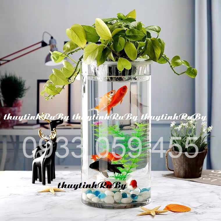 Bình Bông Lọ Hoa Thủy Tinh Trang Trí D15*H40cm, Chậu nuôi cá, Bình Cắm Hoa Thủy Tinh Trụ, Lọ Hoa Hình Trụ, Bình Bông