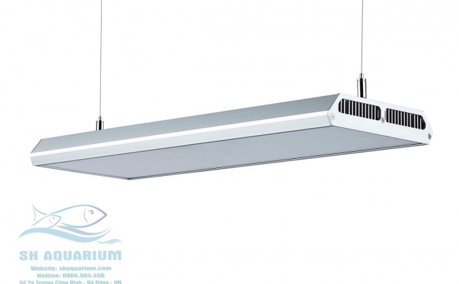 [HOÀN TIỀN 10%]ĐÈN LED CHIHIROS RGB VIVID 2