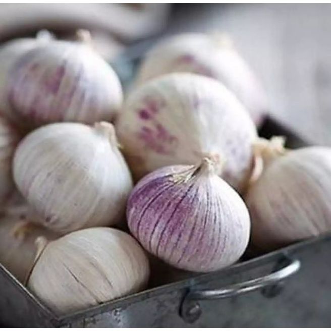 1kg tỏi cô đơn