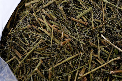 1kg diệp hạ châu-chó đẻ răng cưa (khô, sạch, đẹp)