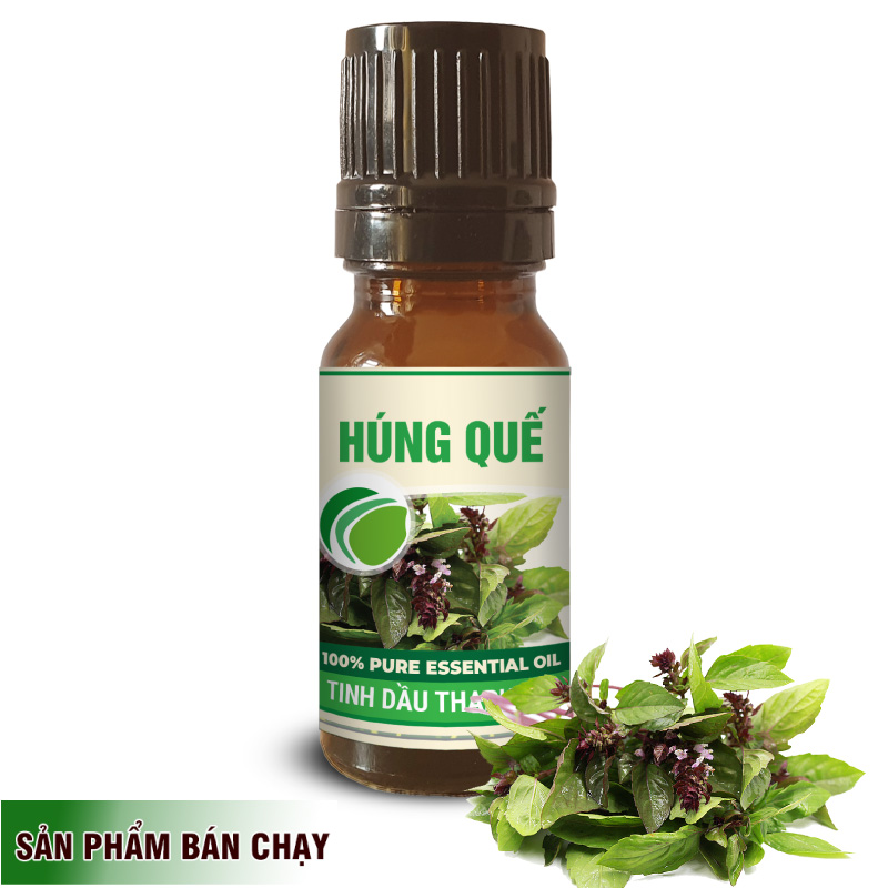 Tinh Dầu Húng Quế Đặm Đặc Nguyên Chất 10ml Thaphaco