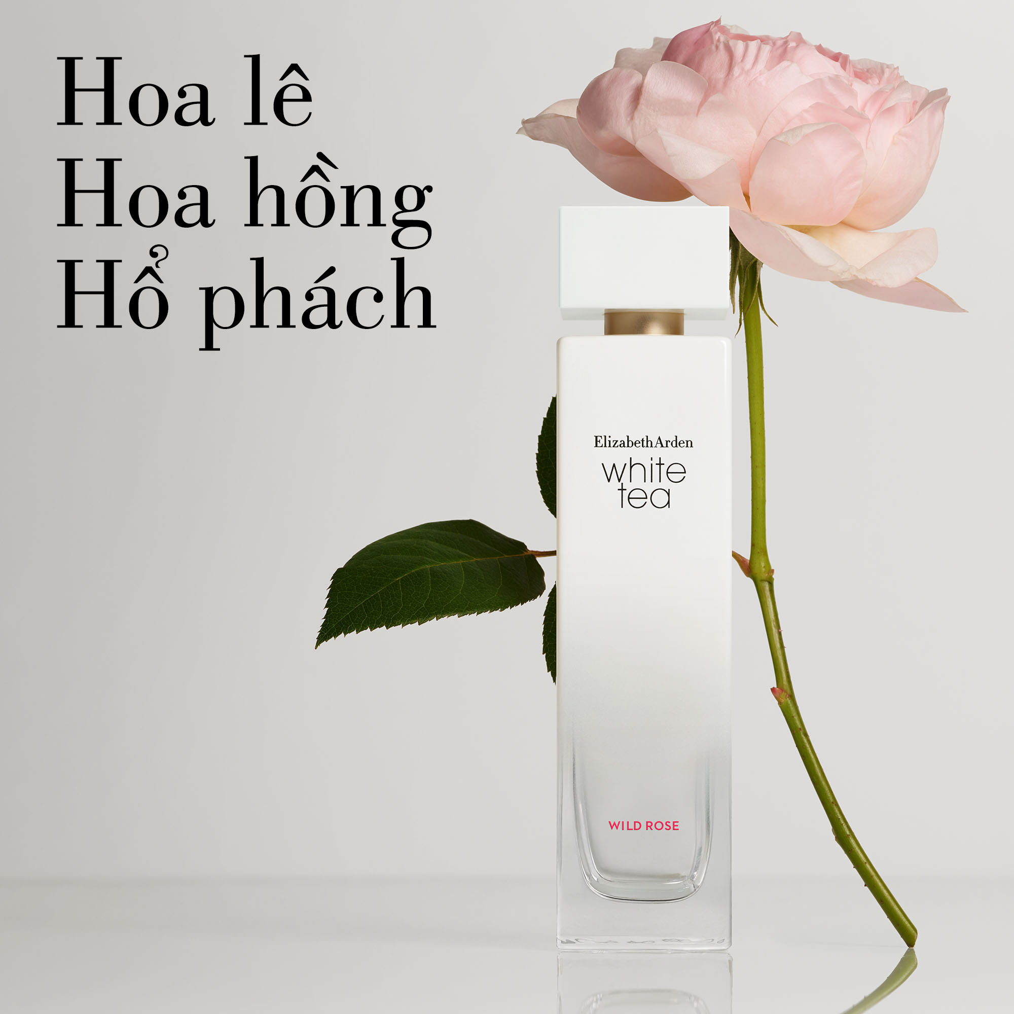 Nước hoa Nữ Elizabeth Arden White Tea Wild Rose EDT 30ml