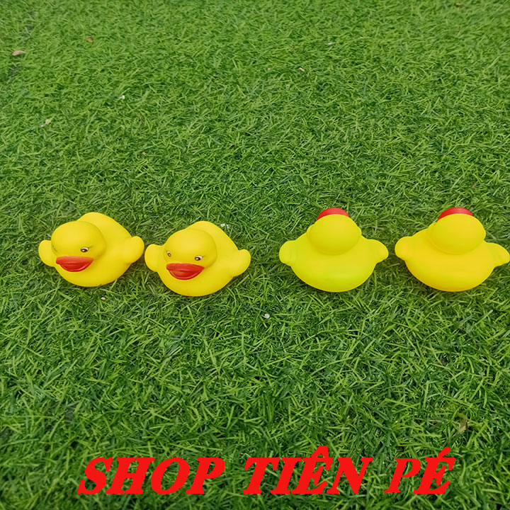 COMBO 4 CON VỊT GẮN PÔ E