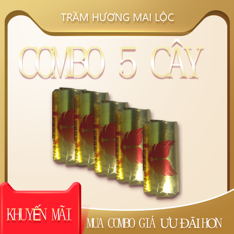 [Cao Cấp] Than hoạt tính đốt trầm hương loại cao cấp [Combo 5 Cây]