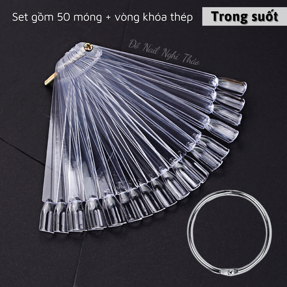 Móng que tập sơn
