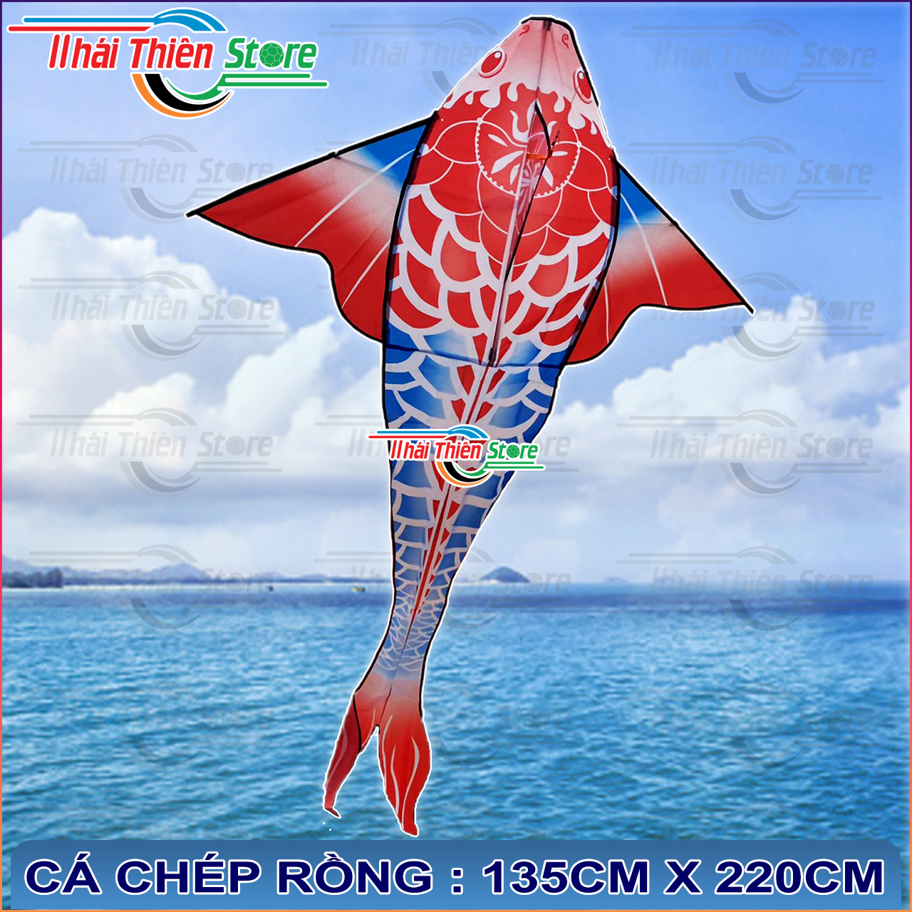 Diều Cá Koi, Chép Rồng Nhiều Màu