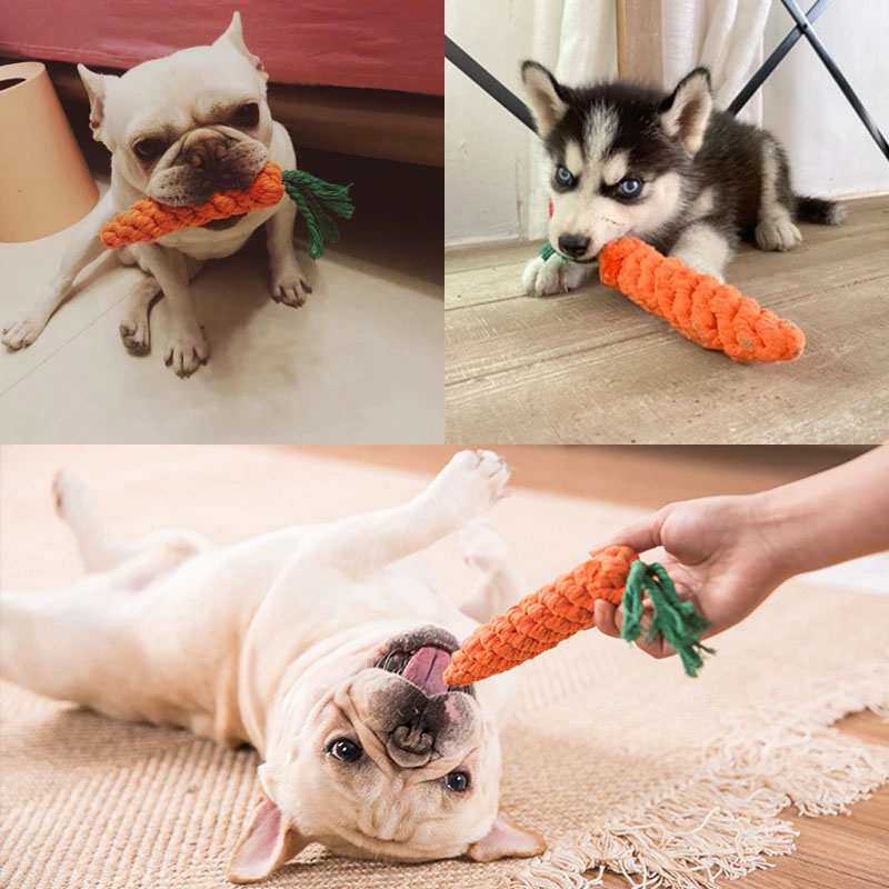 [HCM]Đồ chơi gặm cho chó hình cà rốt - Đồ chơi 210