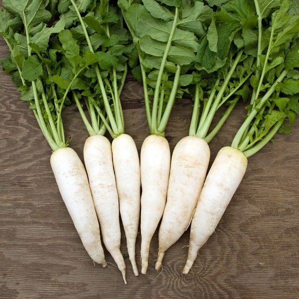Hạt củ cải trắng (gói 20 gram)