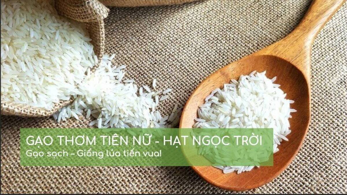 Gạo Hạt Ngọc Trời Tiên Nữ