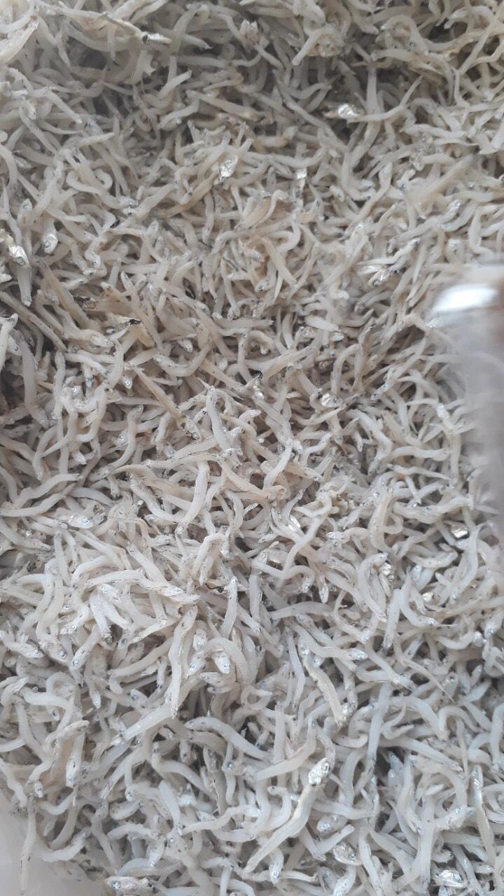 250gr cá cơm mờm sữa trắng ngon nha trang