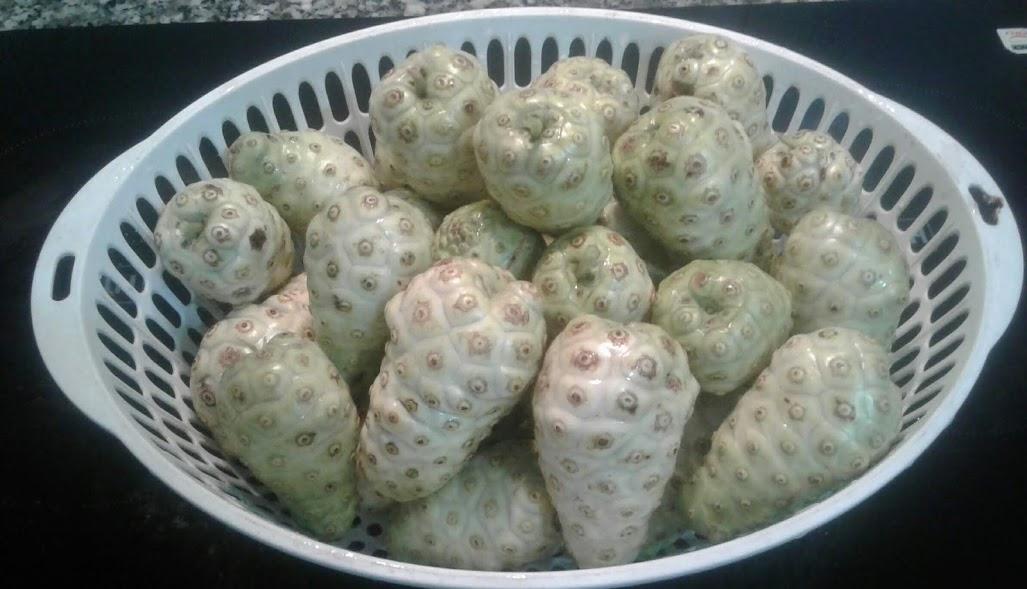 Trái nhàu khô - gói 500g
