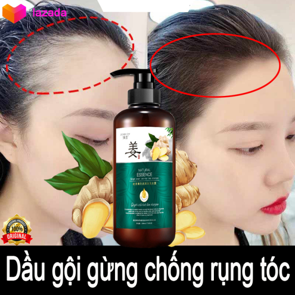 Dầu gội gừng Làm sạch da đầu tẩy tế bào chết ngứaChống rụng tóc 500  ml sau sinh Chống khô tóc chân tóc chắc chắn kích thích sự phát triển của tóc ngăn ngừa rụng tóc giải quyết vấn đề hói đầu giữ ẩm da đầu làm mịn tóc giá r