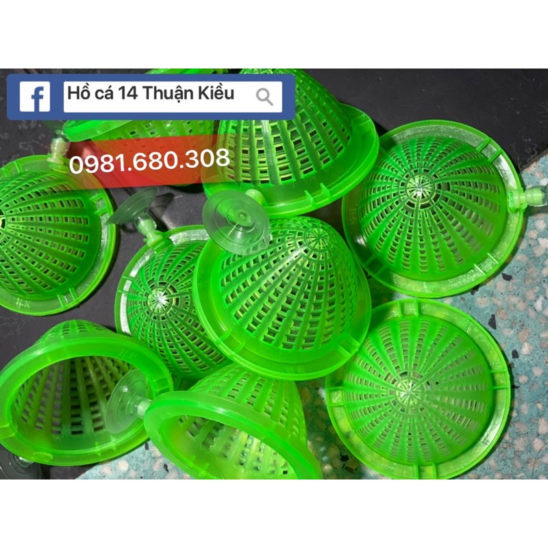Rỗ nhựa đựng trùng chỉ cho cá ăn