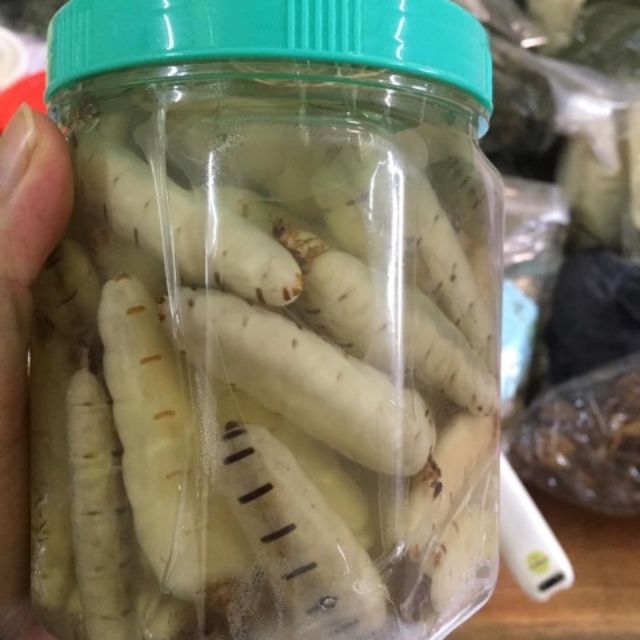 Mối Chúa
