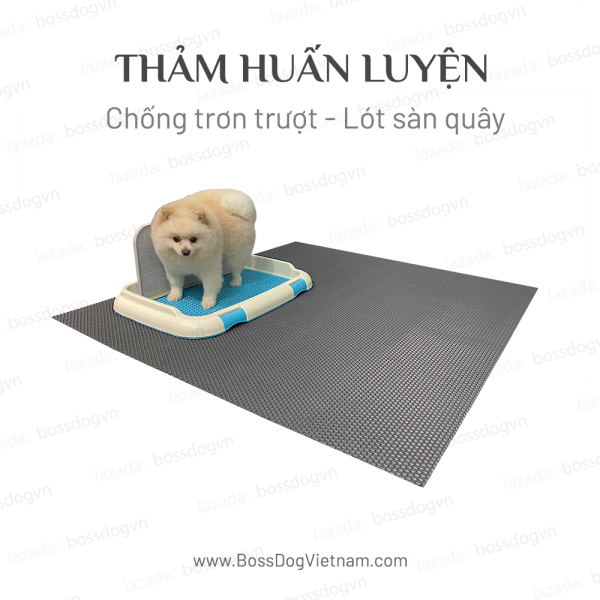 Thảm cho chó Huấn luyện & Chống trơn trượt & Giữ sạch sàn nhà | BossDog