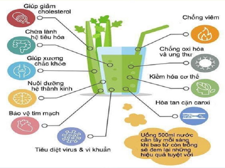 Bột Cần Tây Sấy Lạnh Nguyên Chất BIGS 500g