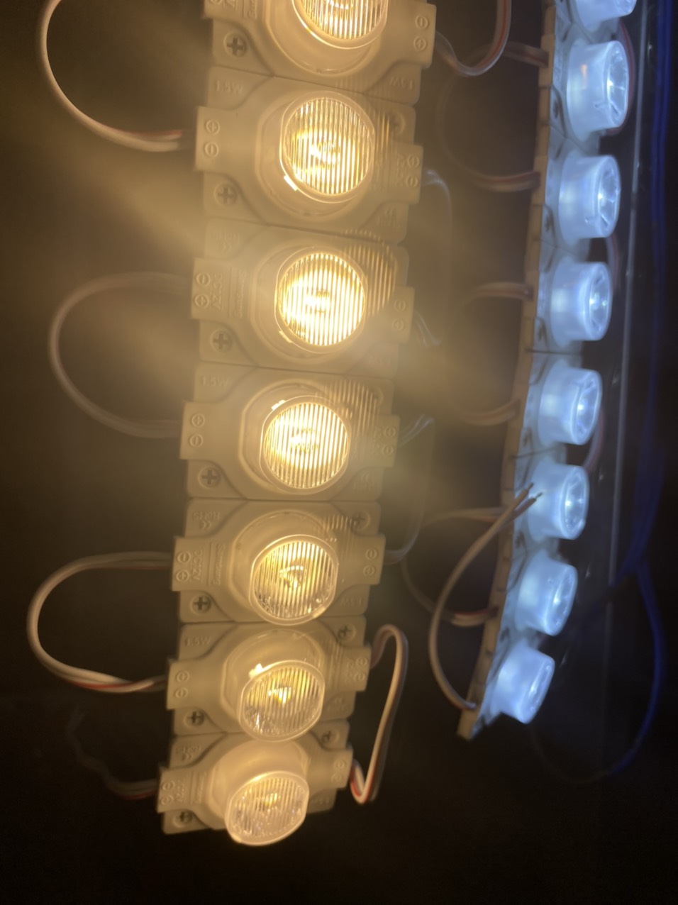 LED RỌI 1,5W (LED MẮT TRÂU) DÂY 20 BÓNG