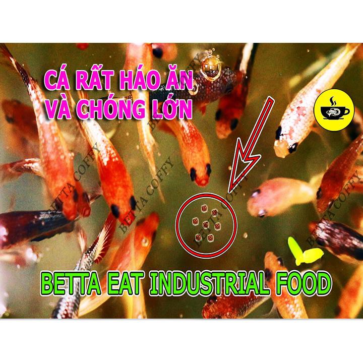 Cám CC Red Thức ăn cho cá BETTA và GUPPY