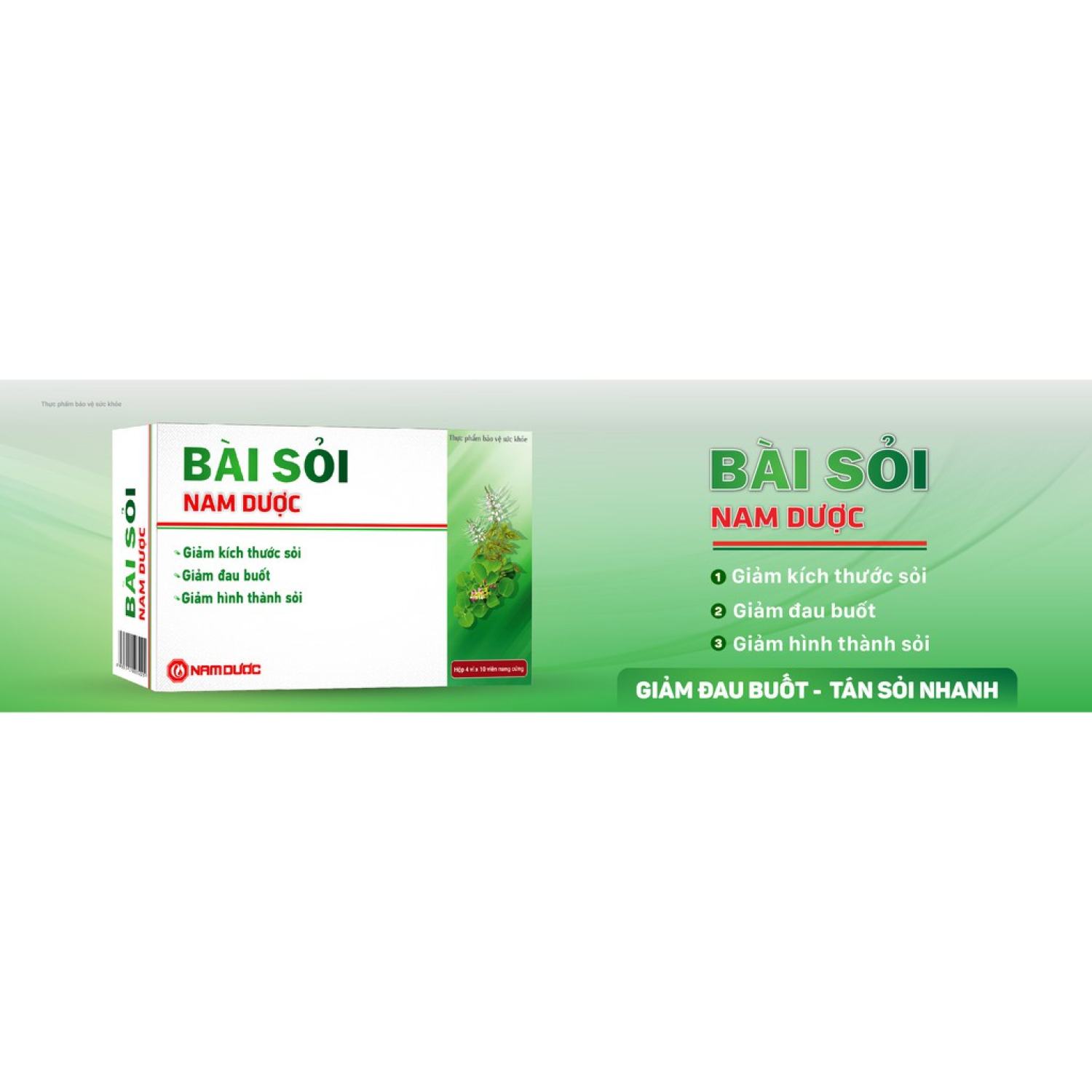 Bài sỏi Nam dượᴄ - Sỏi thận, sỏi mật
