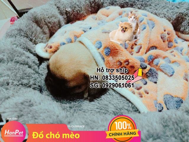 Hanpet - Chăn mền chó mèo bằng vải nhung Chó mèo ngủ (Màu Ngẫu Nhiên) - Chăn mền cho chó mèo vải nhung siêu mềm mại, ấm vào mùa đông và mát vào mùa hè