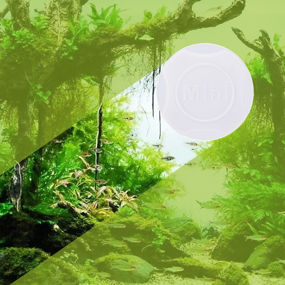 Nam Châm Cọ Bể Mini - Màu đen