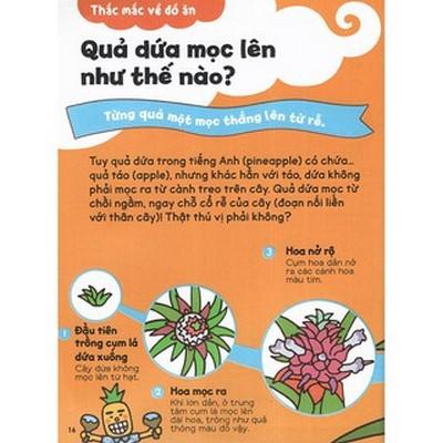 Gi Gỉ Gì Gi Cái Gì Cũng Biết (Dành Cho Lớp 2)