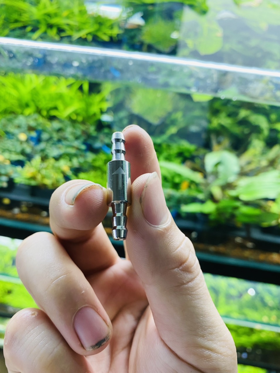 Van 1 Chiều Inox Gắn Sủi Co2 - Oxy dành cho bể cá thủy sinh