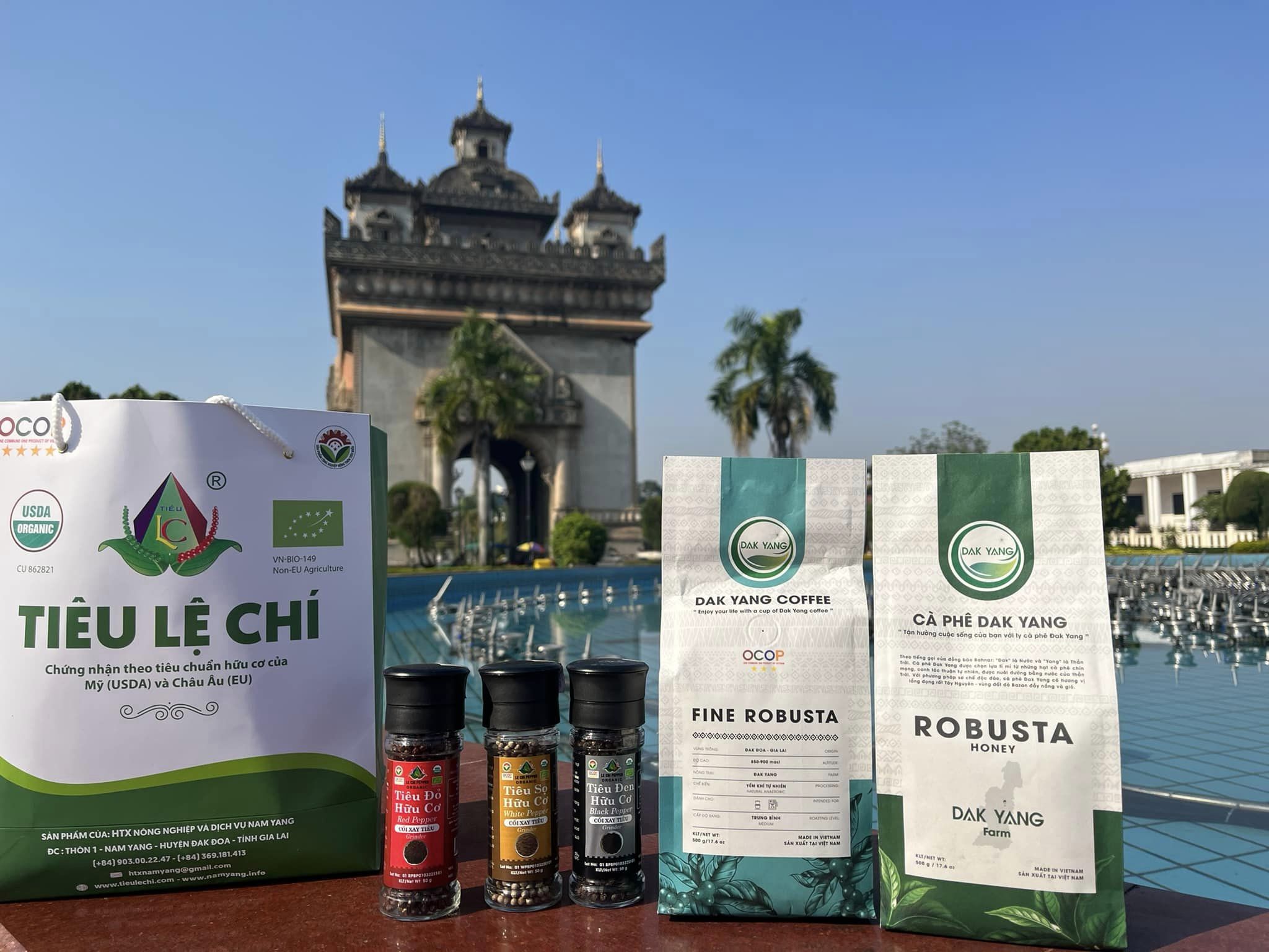 Cà phê Robusta Honey nguyên chất rang mộc 500gr