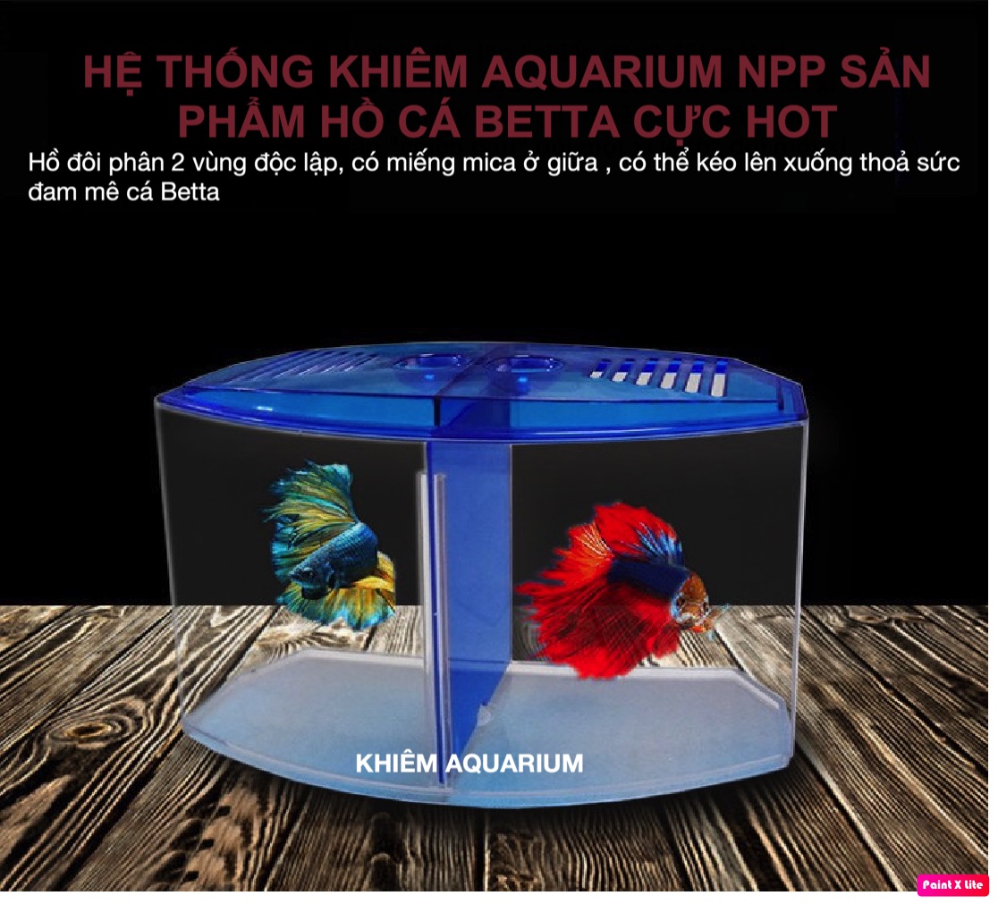Bể cá betta mini 2 ngăn bằng nhựa - Hồ cá mini cho văn phòng