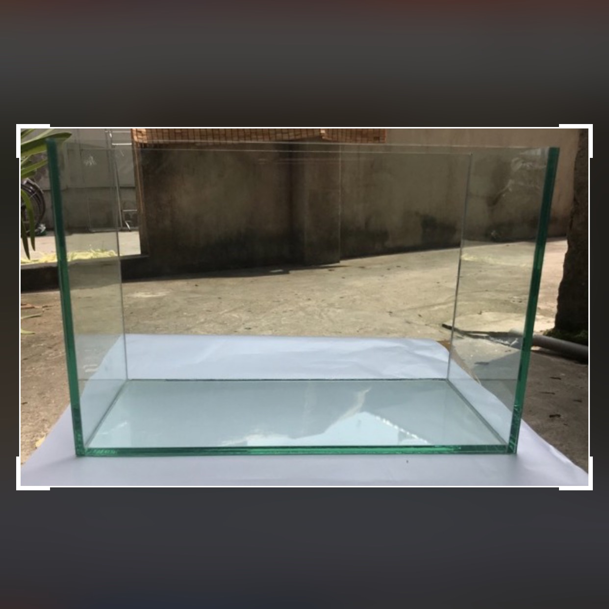 Bể nuôi cá mini 18x13x15