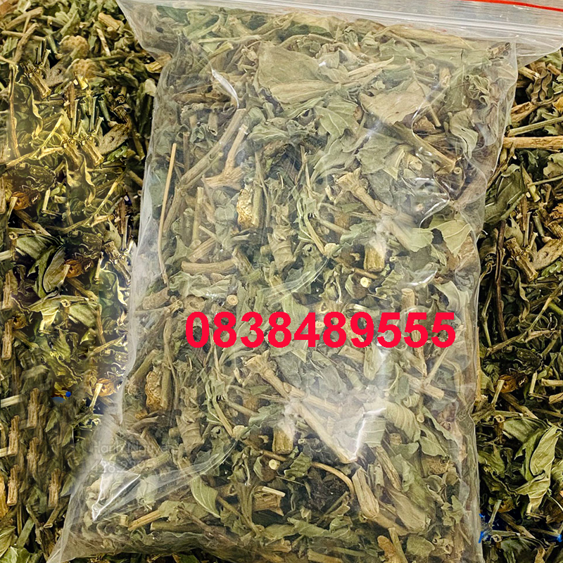 Cây dạ cẩm khô - dv216