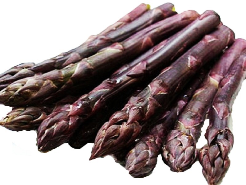 Hạt giống măng tây tím F1 ( gói 20 hạt - Tặng gói kích thích hạt nảy mầm )