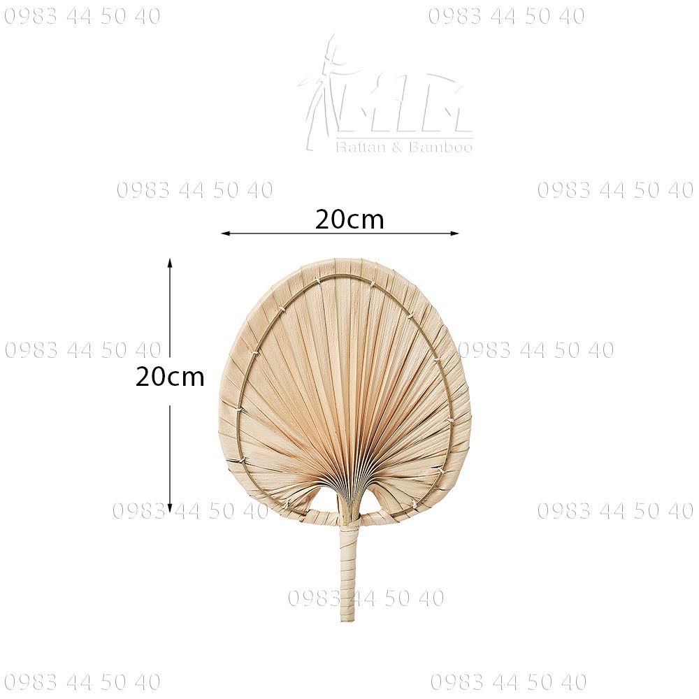 Quạt lá cọ treo trang trí tường, trang trí tiểu cảnh.