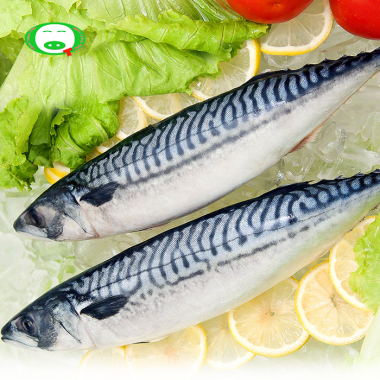 [Chỉ Giao HCM] - Cá Saba Na Uy Nguyên Con Size Lớn 400g - 600g