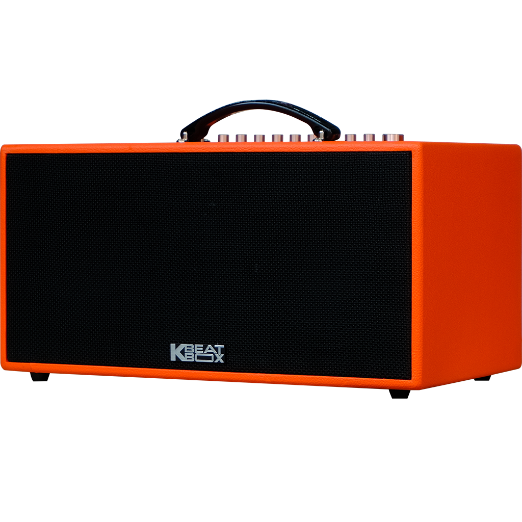 Dàn âm thanh di động xách tay ACNOS CS446