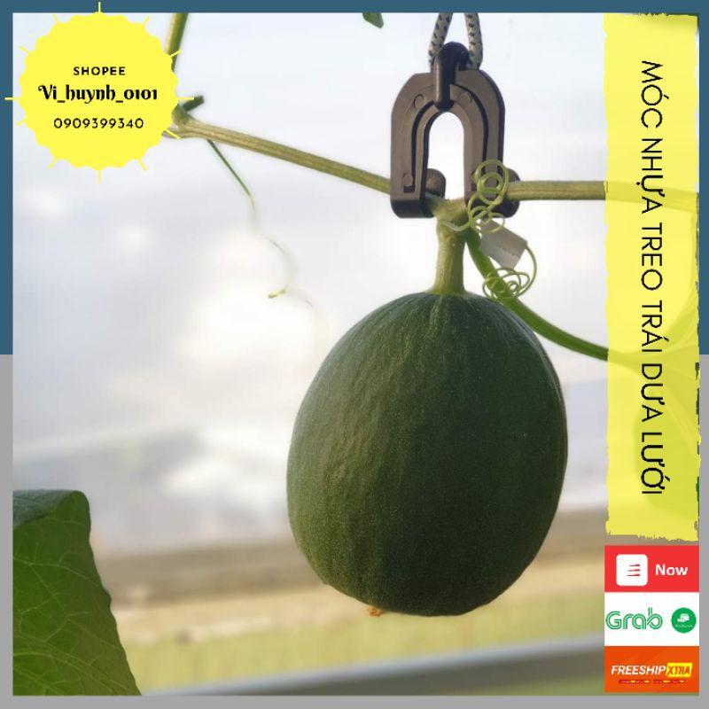 [HCM]Combo 10 Móc Treo Trái Dưa Lưới Dưa Lê Cao Cấp Chuyên Dụng Treo Các Loại Dưa Tạo Cuống Ăng Ten - Giá Giảm Theo Số Lượng