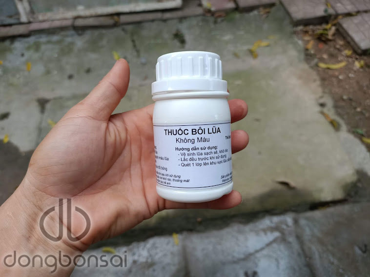 Combo 5 Chai dung dịch bôi lũa bonsai 150ml
