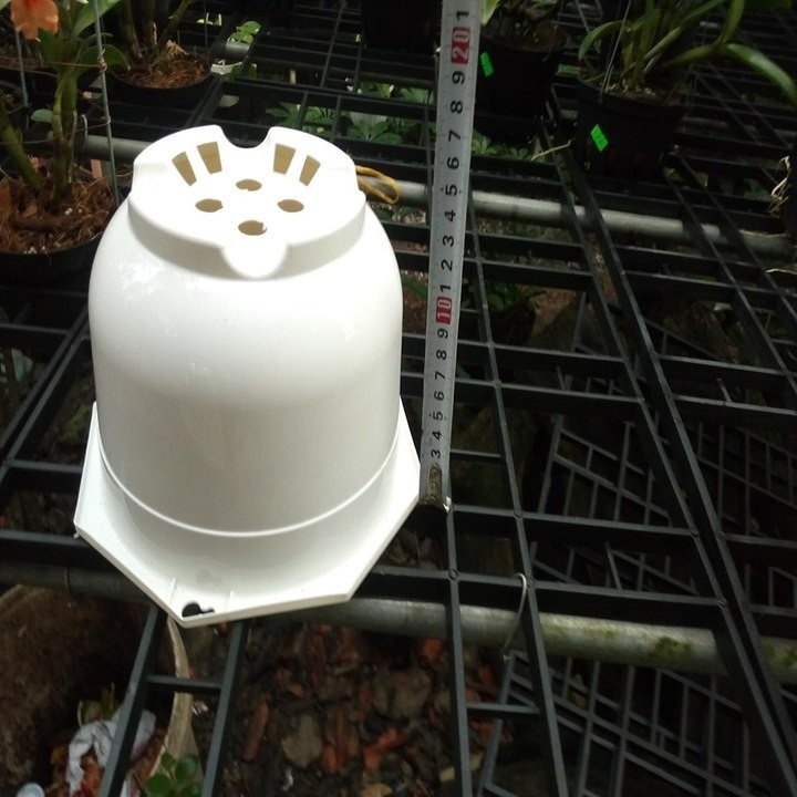 10 chậu nhựa trắng  20cm