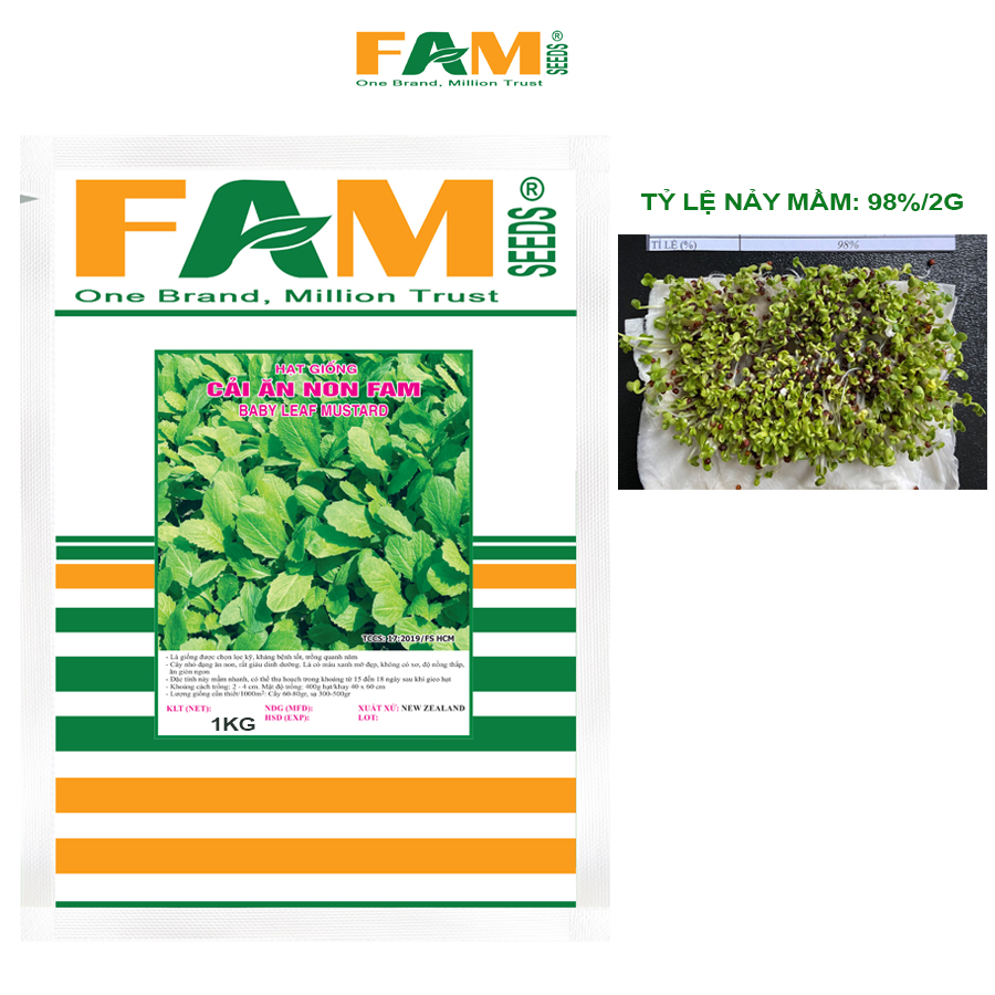 Gói 1kg Hạt Giống Cải Ăn Non Baby FAM SEEDS - Xuất Xứ New Zealand, Nảy Mầm Tốt, Phát Triển Mạnh, Năng suất cao, Giàu dinh dưỡng, Không xơ, Ít nồng