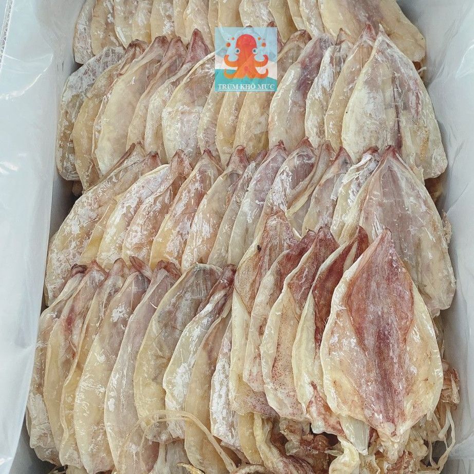 { ĐẶC BIỆT } 0,5kg khô mực size 60-70con/kg